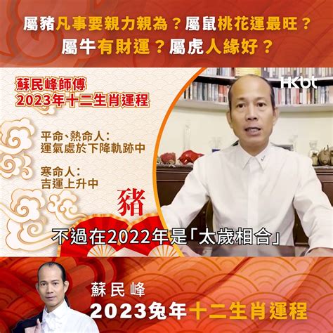 十二生肖擺設|蘇民峰2023十二生肖兔年增運方法｜加強財運、人緣 